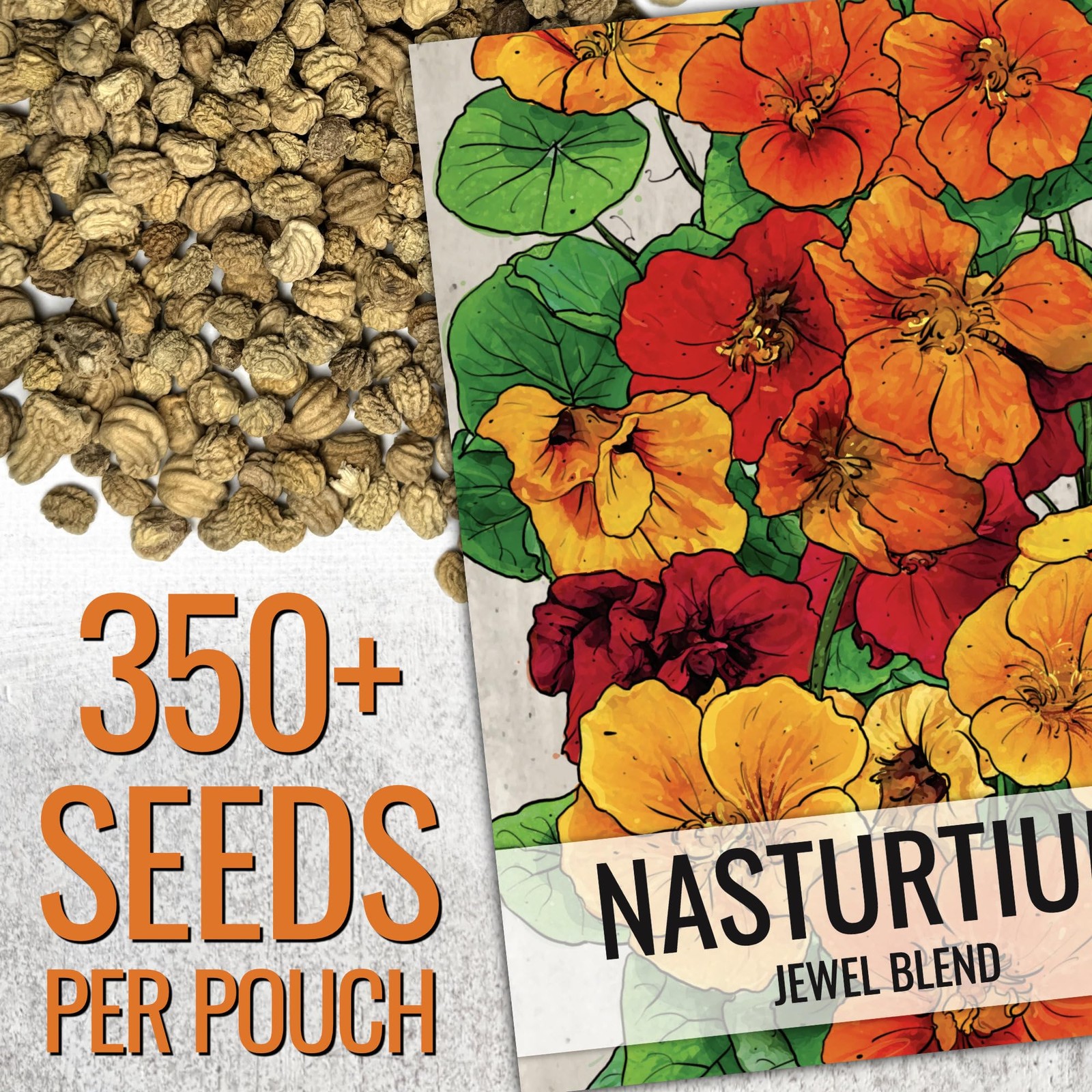 Seed Needs Nasturtium Seeds Jewel Mix Multicolored Edible Flowers 1.5 Ounce 350