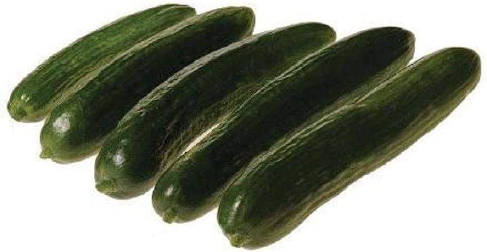 Mercury Beit Alpha Cucumber Seeds