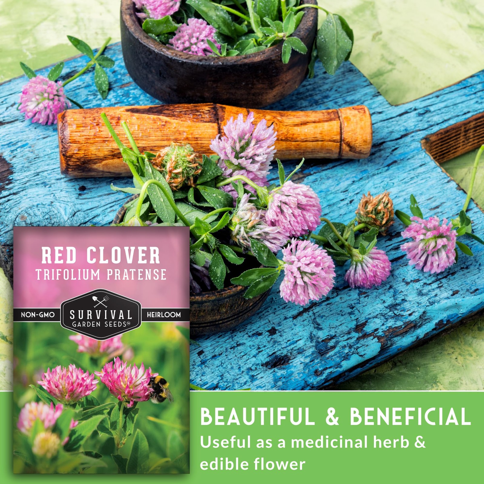 Red Clover Seeds Heirloom Non-GMO – Nitrogen-Fixing Cover Crop 2 Packs – Soil