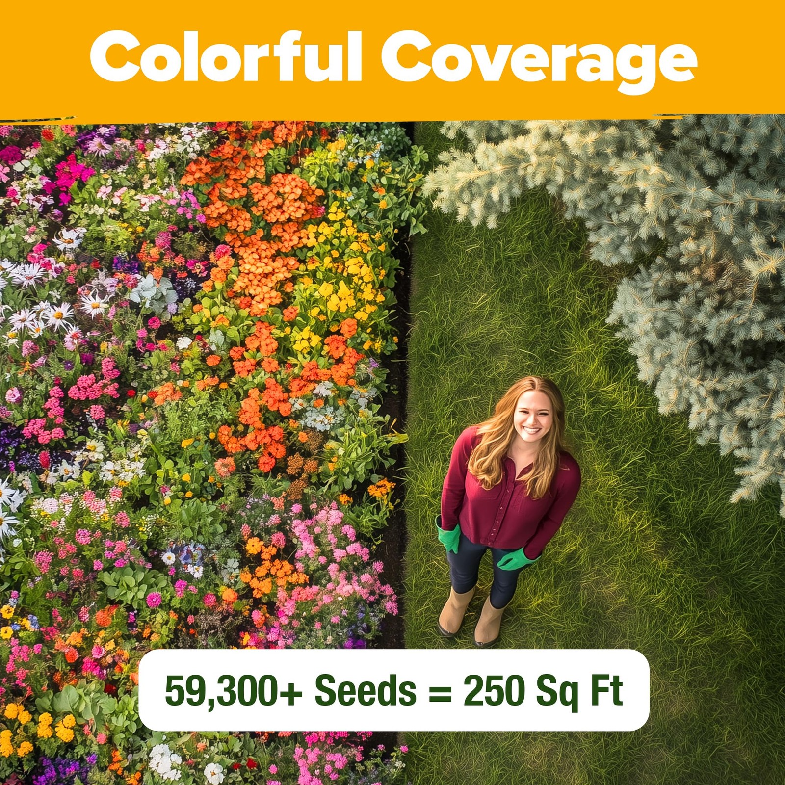 HOME GROWN Premium Wildflower Seeds Bulk Mix (2oz) – 59,300+ 1-Pack, Multi