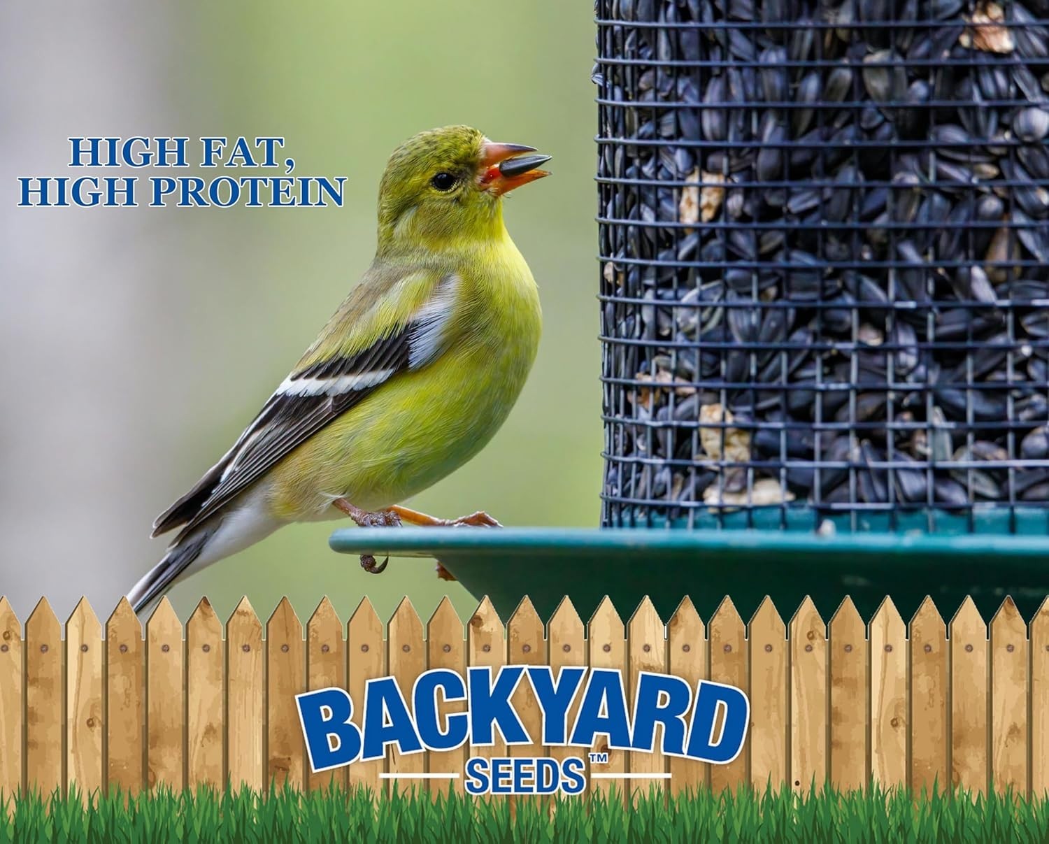 Backyard Seeds Black Oil Sunflower Seeds for Wild Birds 25lbs – Thin Shells, …
