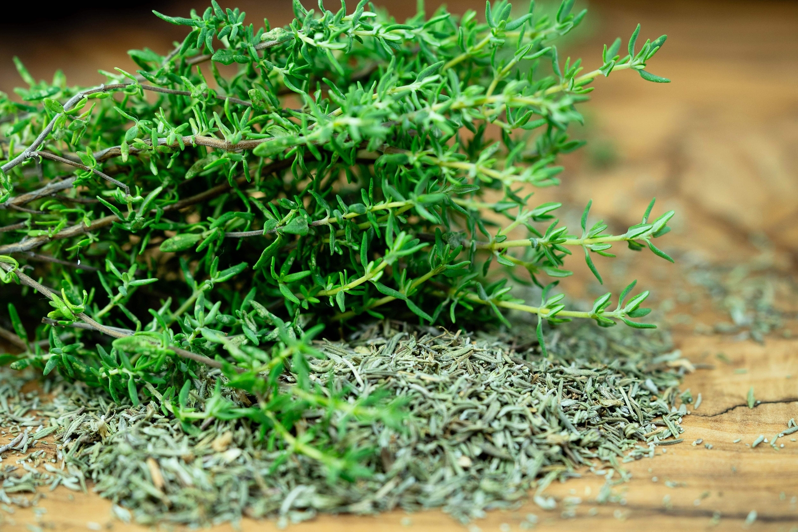 1000 THYME Common English German French Garden Winter Thymus Vulgaris Herb Seeds