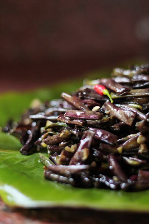 Purple Mart Yard Long Bean Seeds | Red Asparagus Edamame Cowpea Asian Seed 2024