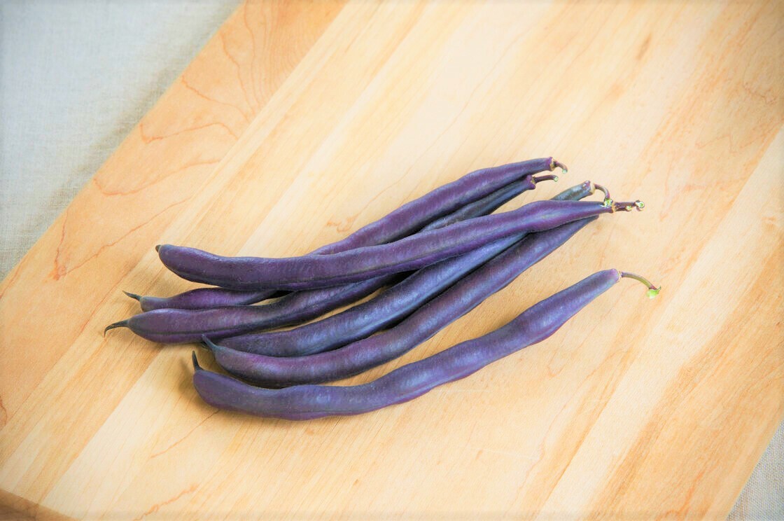 Royal Burgundy Bean Seeds | NON GMO Purple Green Beans Vegetable Seed 2024