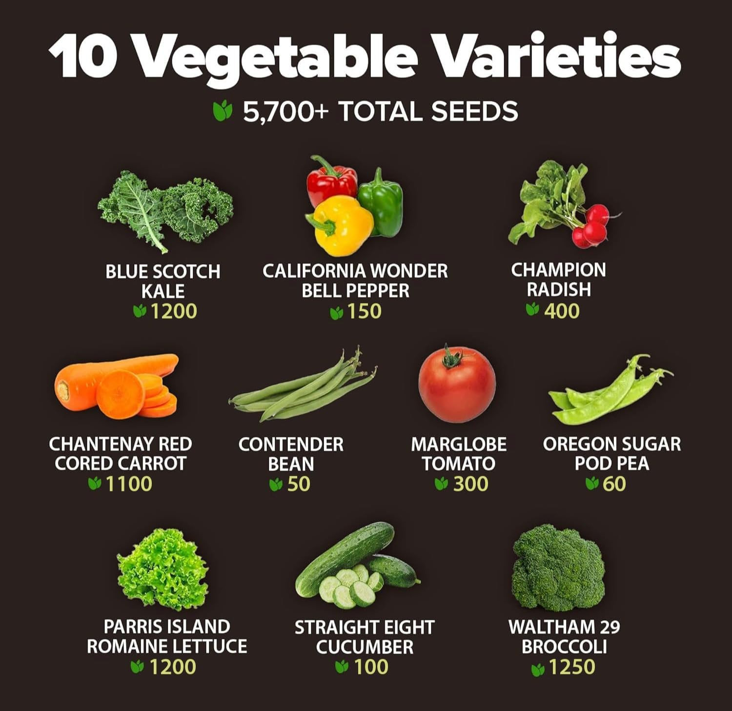 10 Variety Seed Vault 5,700+ USA Grown Heirloom Non-Gmo Vegetable Seeds for Plan