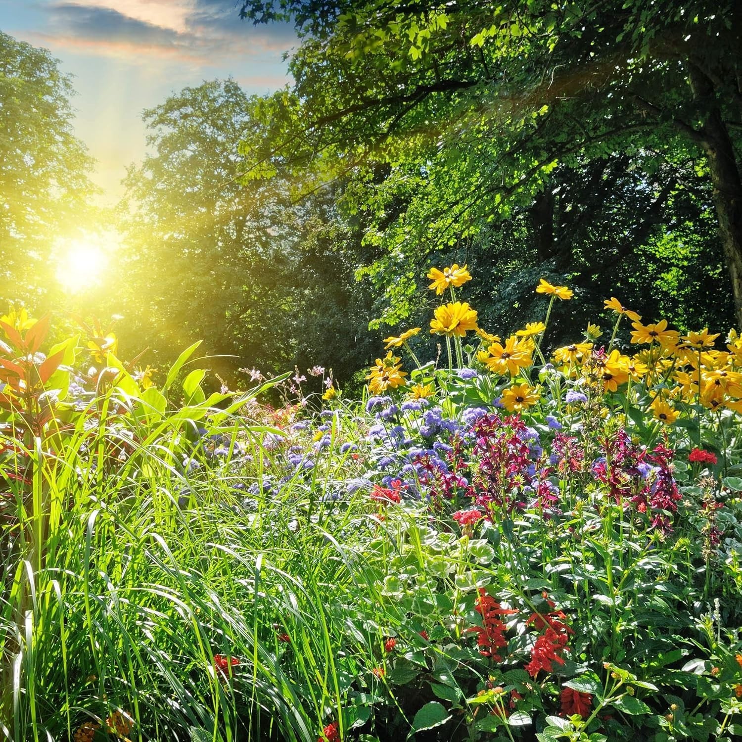 100,000+ Heirloom Wildflower Seeds – Save The Monarchs for Vibrant Gardens