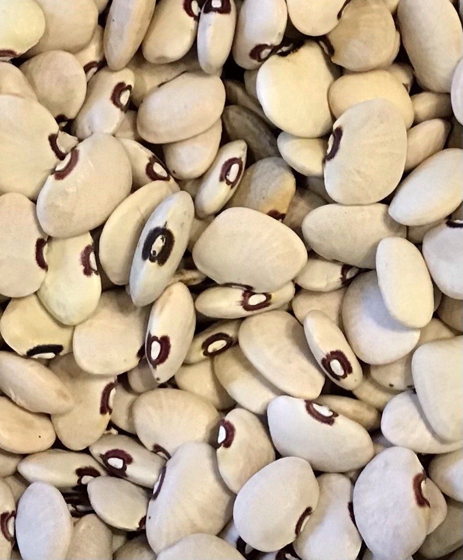 Heirloom Old Time Alabama Pink Eye Butter Bean Seed 4 oz