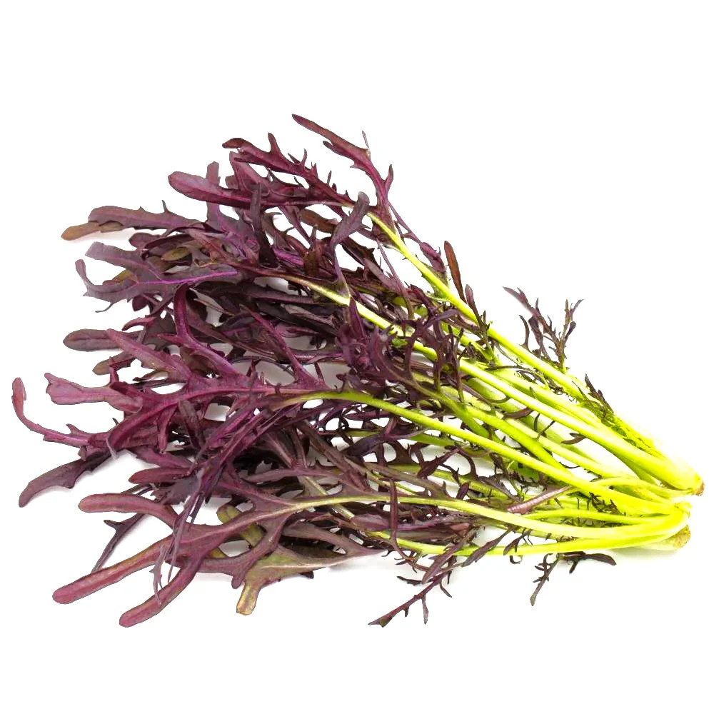 Red Mizuna Mustard Greens Seeds – For 2025 Planting Japanese Water Peppergrass