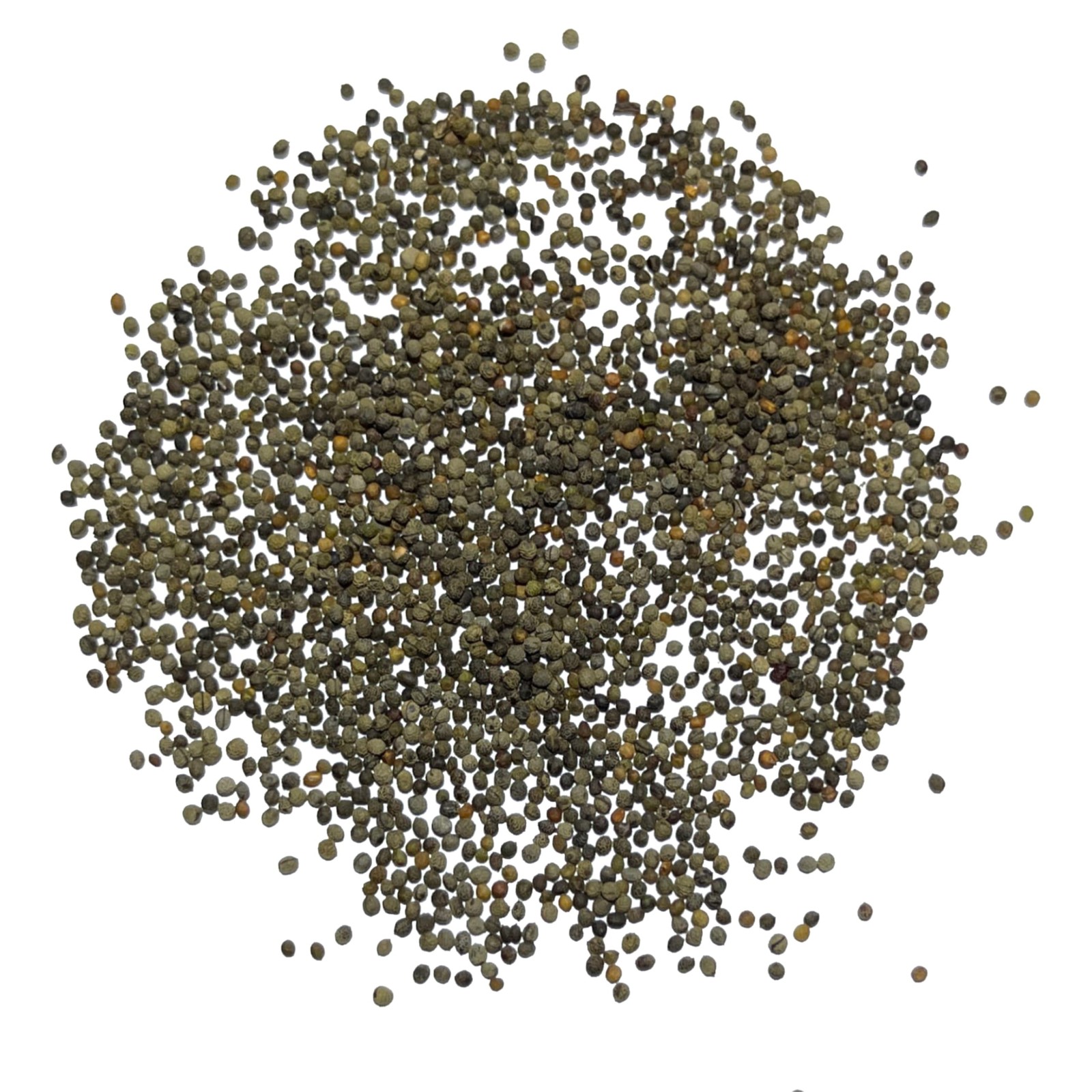 California Poppy Seeds – 30,000+ Heirloom Wildflower Seeds for Vibrant Blooms