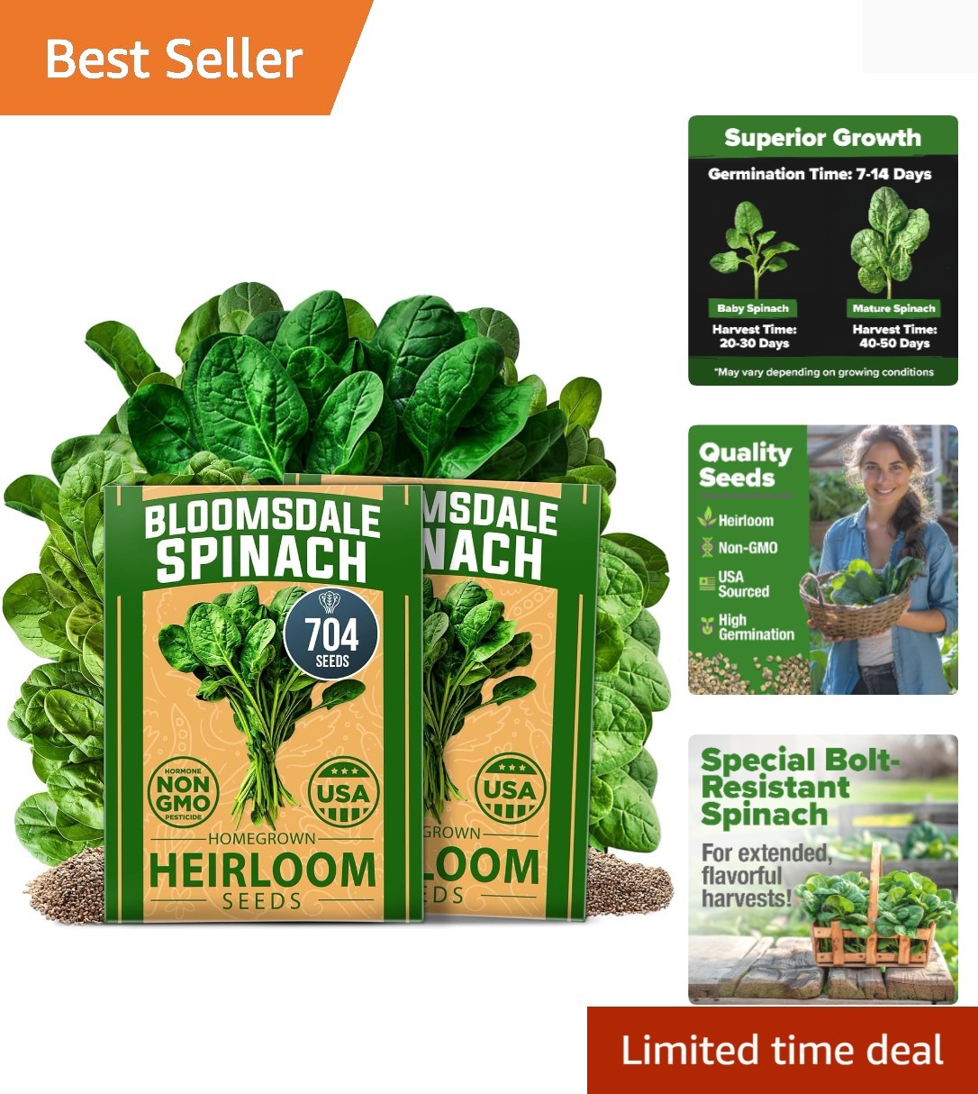 Bloomsdale Spinach Seeds 704+ Non-GMO Heirloom, High Germination, Indoor/Outdoor