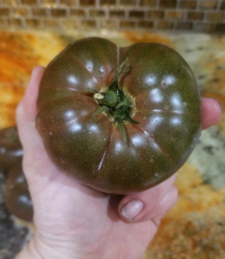 Russian Black Krim Tomato Seeds (30) / Organic / DELICIOUS / Rare
