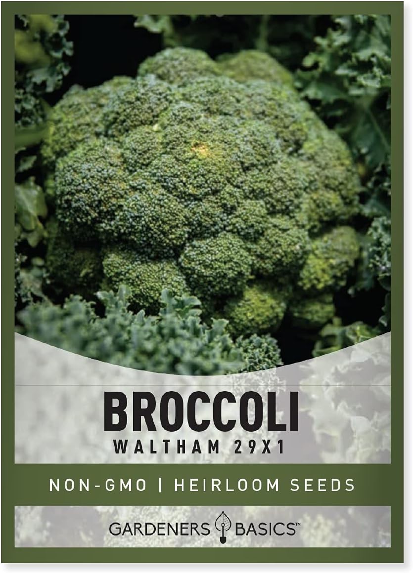 Broccoli Seeds for Planting is A Great Heirloom, Non-GMO Vegetable Variety- 1…