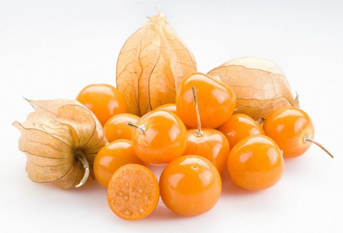 CAPE GOOSEBERRY SEEDS 50+ LARGE FRUIT Ground Cherry HUSK TOMATO Goldenberry