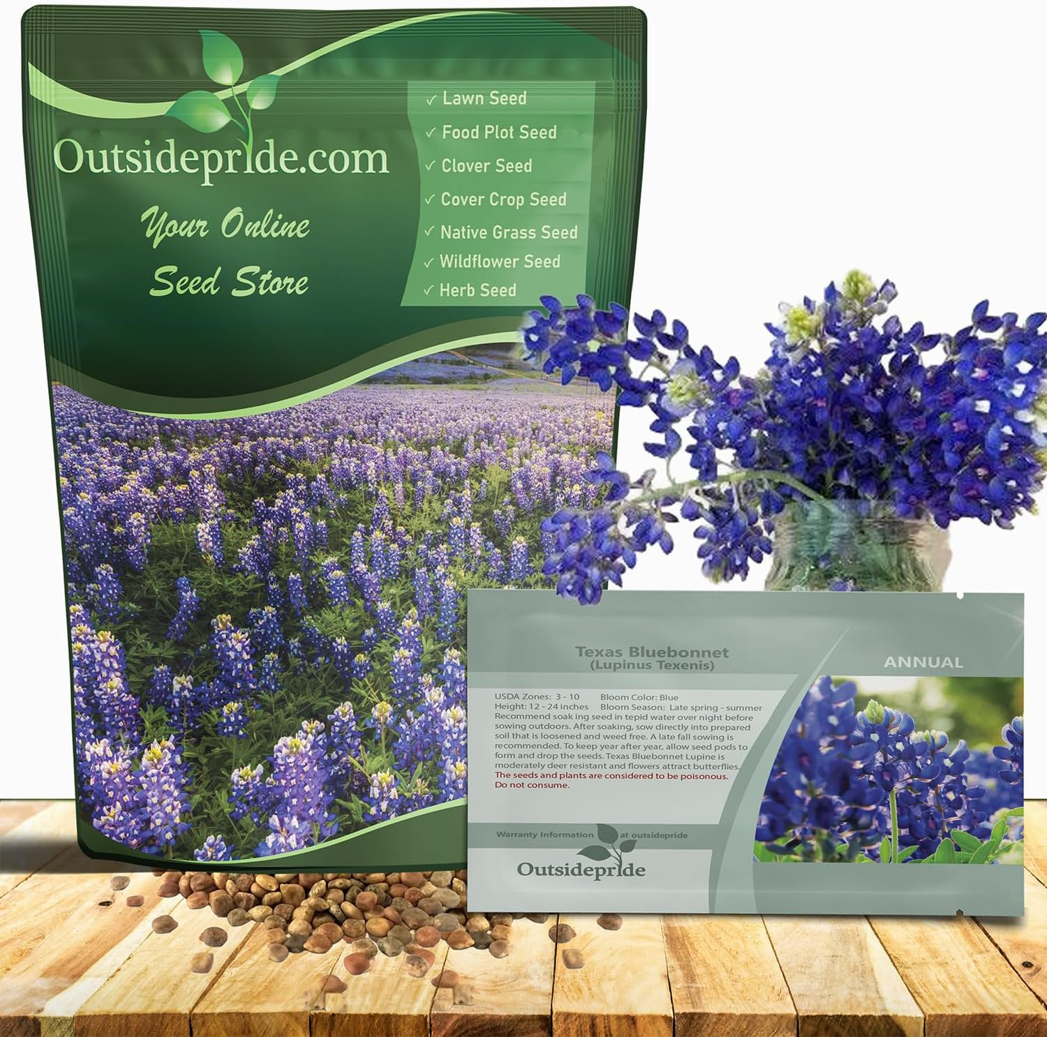 Texas Bluebonnet Seeds – 500 Pcs Annual Lupinus Texensis, Heirloom Quality, Drou