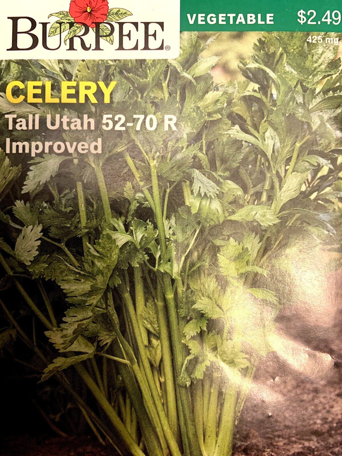 Burpee Celery Tall Utah 52-70 R Improved Vegetable Seeds Full Sun Seed Packet