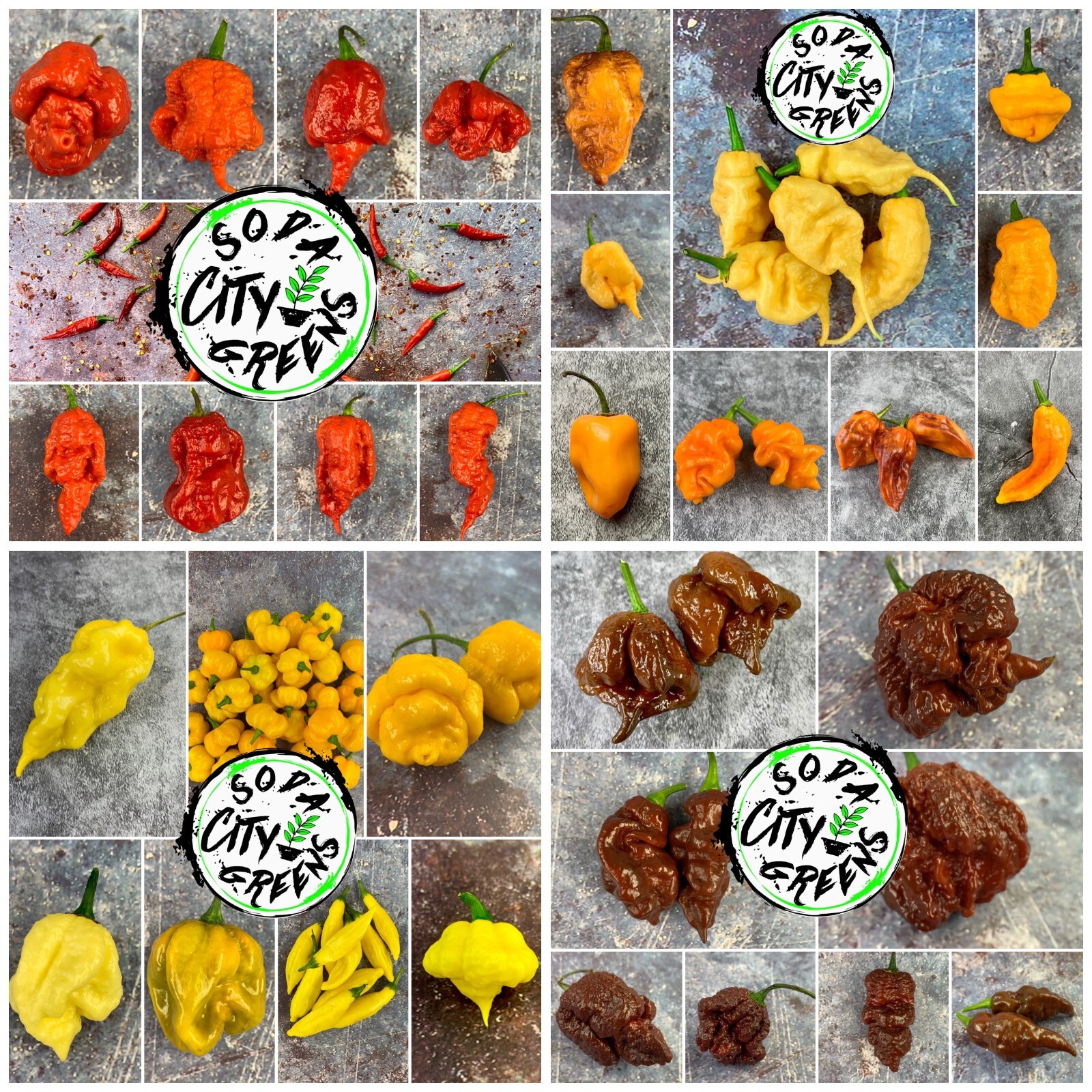 Dragon Thai Pepper Seeds