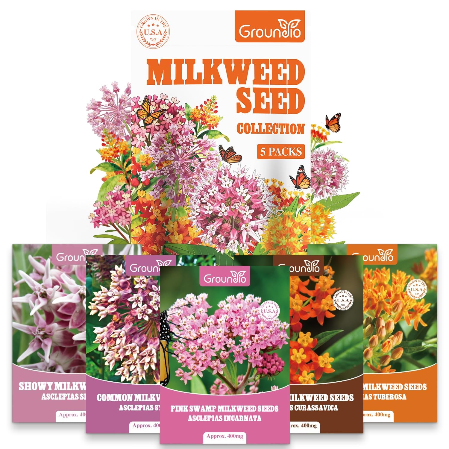 Milkweed Seeds for Planting, Attract Monarch Butterflies & Pollinators, 5 Ind…