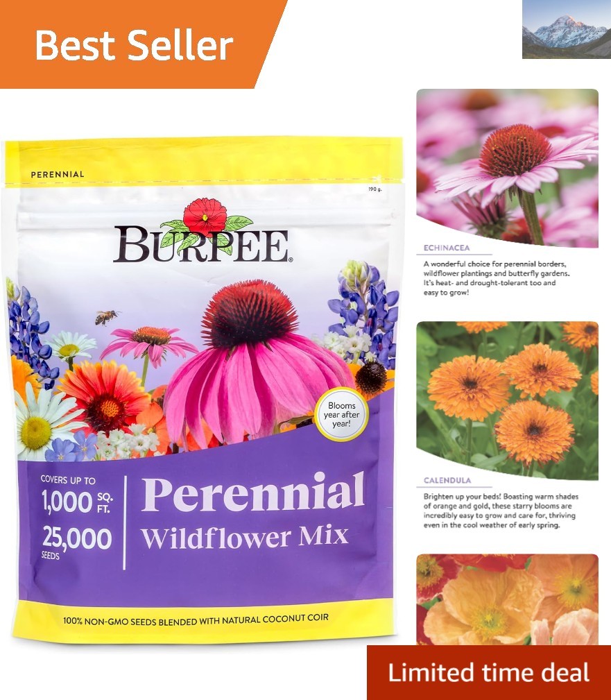 Perennial Wildflower Seed Mix | 25,000 Non-GMO Seeds for Spring to Fall Blooms