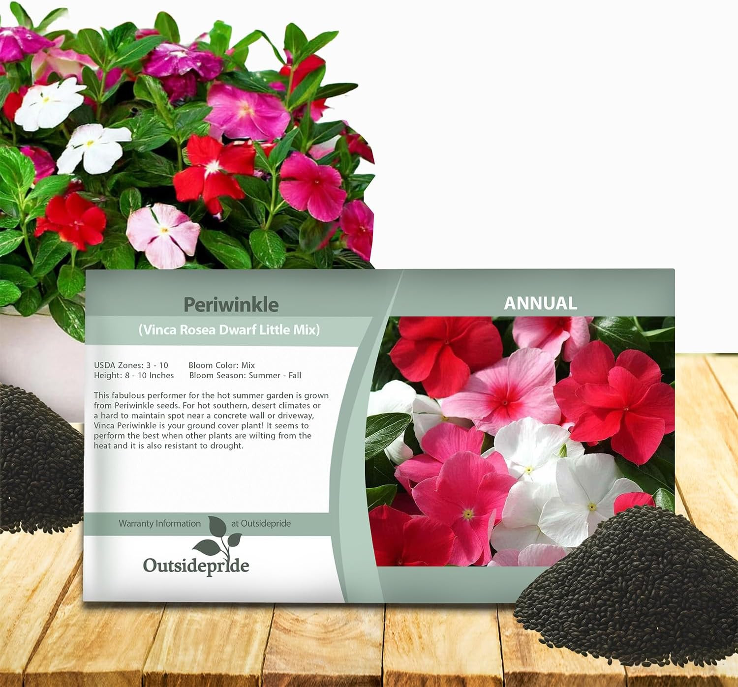 Outsidepride Mix Periwinkle Seeds for Planting – 4000 Pcs Annual, Fast-Blooming,