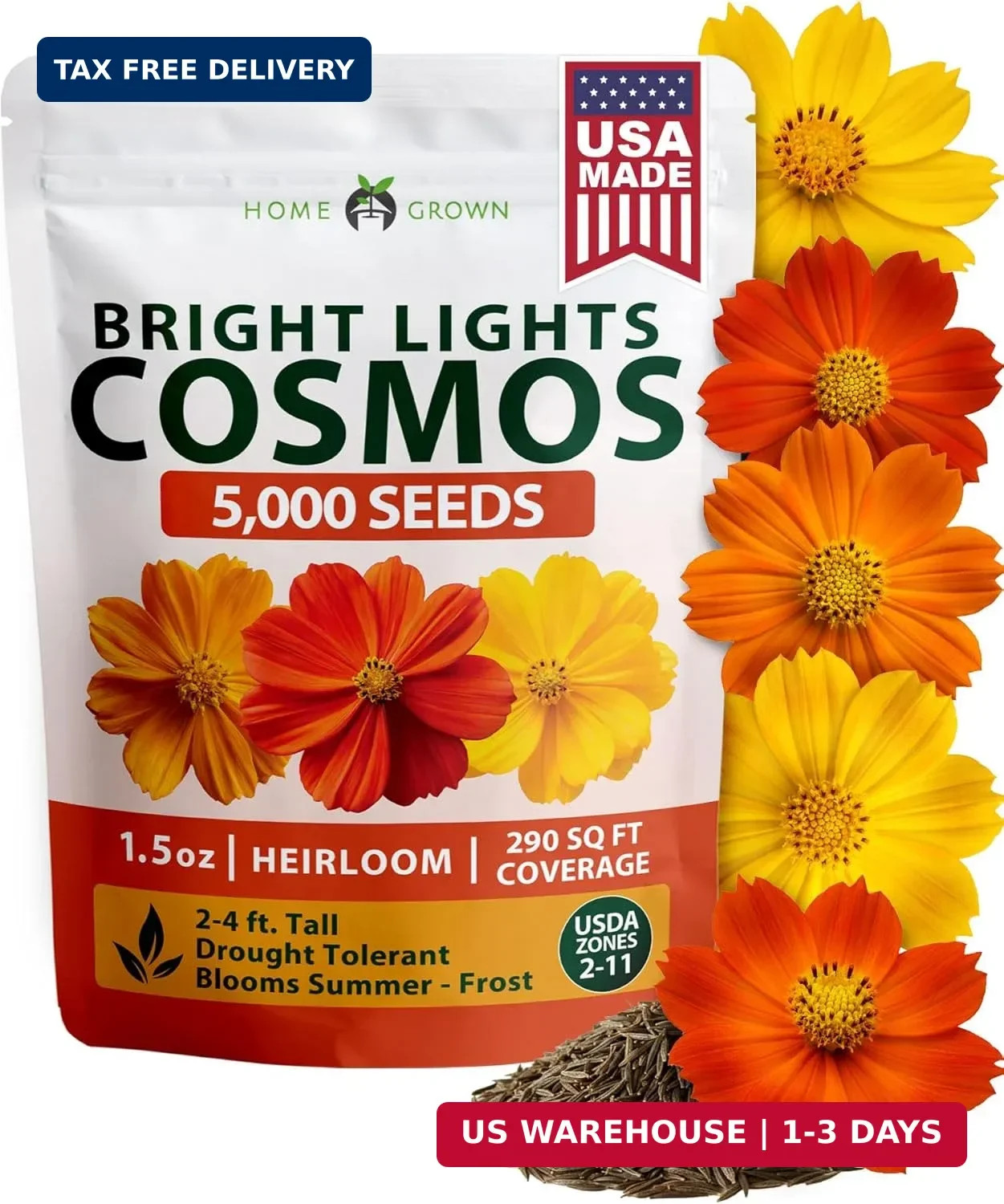 HOME GROWN Cosmos Bright Lights Mix Seeds – 5000 Sulphureus for Planting Spring
