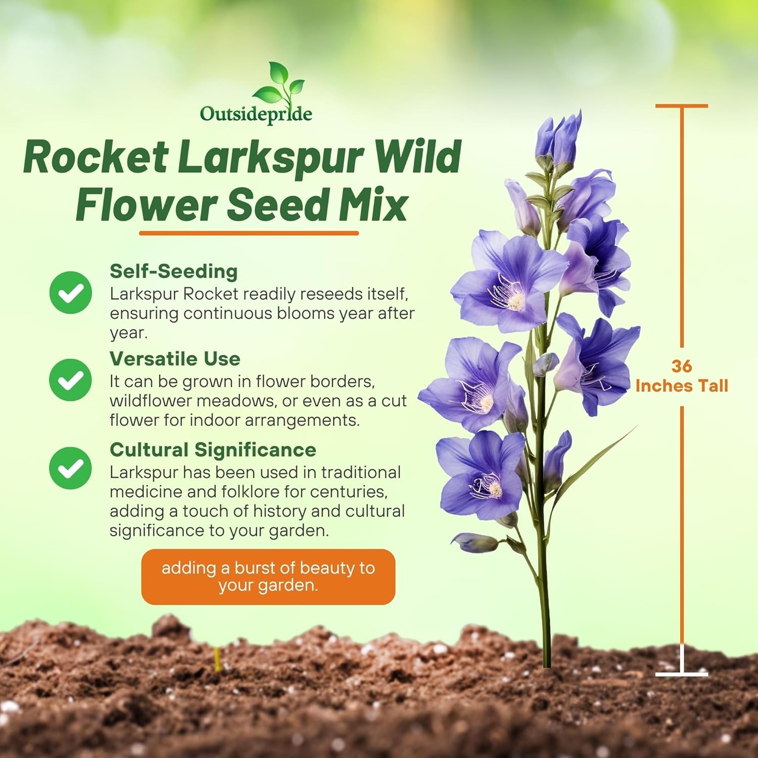 1 LB Delphinium Larkspur Seed Mix For Planting Outdoors | Rocket Larkspur