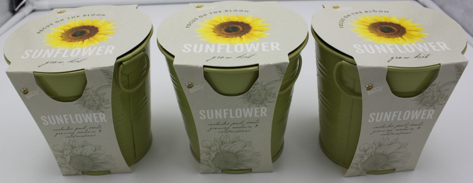 Buzzy Sunflower Grow Kit Pail Seeds Growing 3-PACK Green Indoor Outdoor Starter