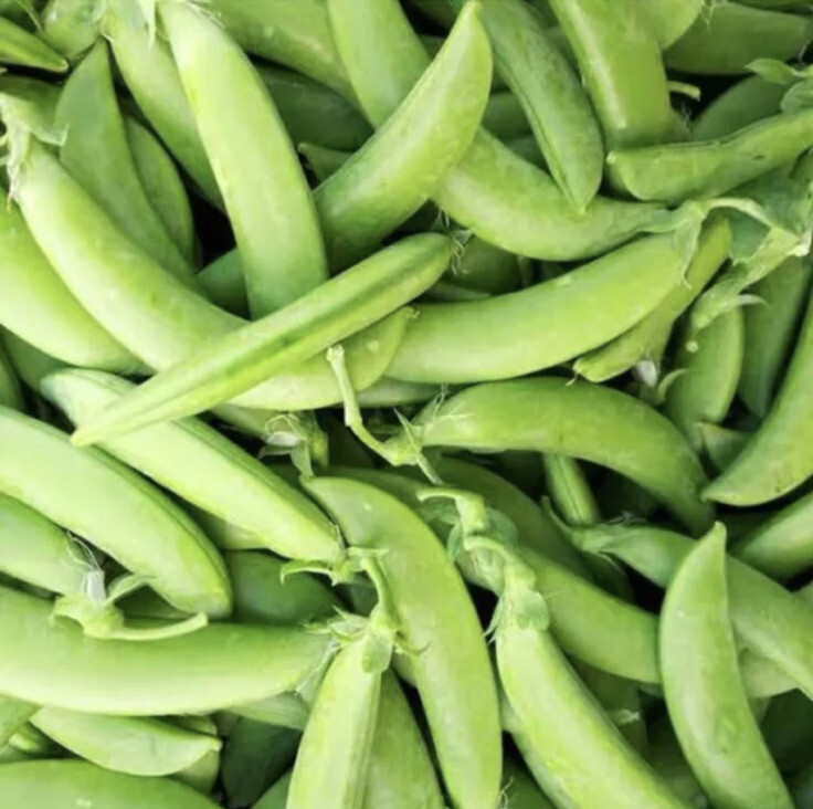 20 PEAS, SUGAR DADDY SNAP, HEIRLOOM, ORGANIC SEEDS, GREAT FOR SALADS / SNACKS