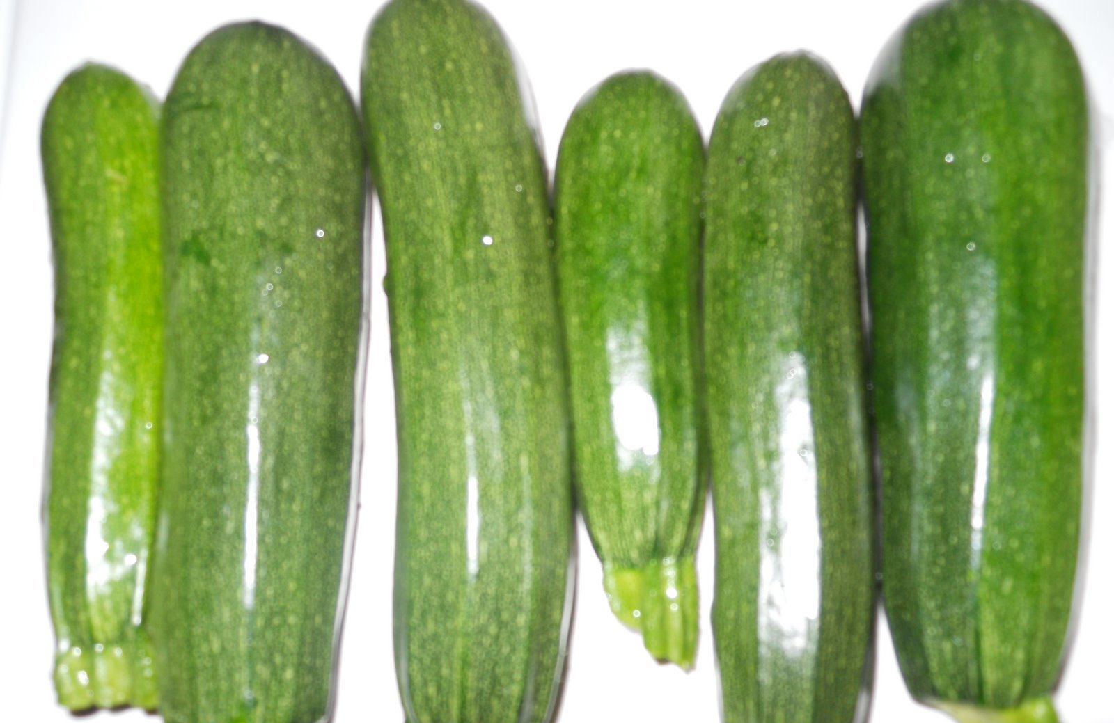 ELITE HYBRID ZUCCHINNI SEEDS * 20 COUNT PKT. * DISEASE RESISTANT *