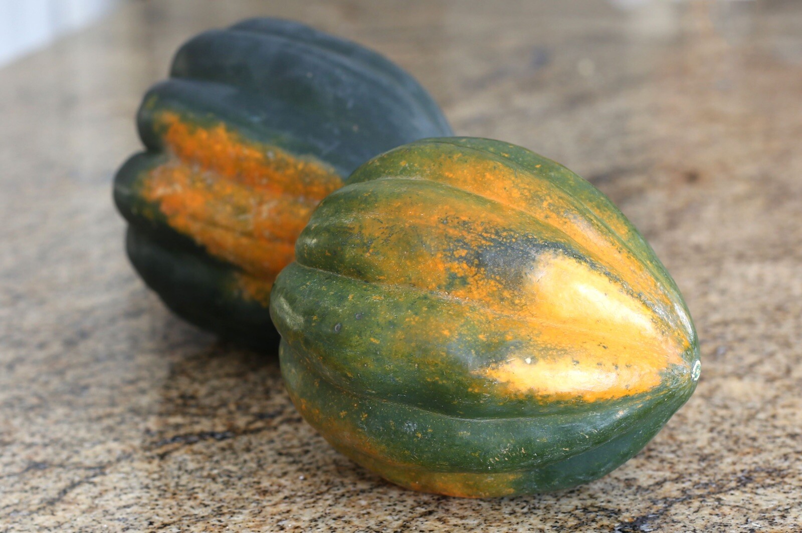 Acorn Squash Seeds For 2024 Year~South Dakota Homegrown & Harvested~