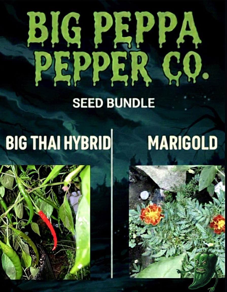 COMPANION PLANTING SEED BUNDLE [BIG THAI HYBRID F2 & MARIGOLD]