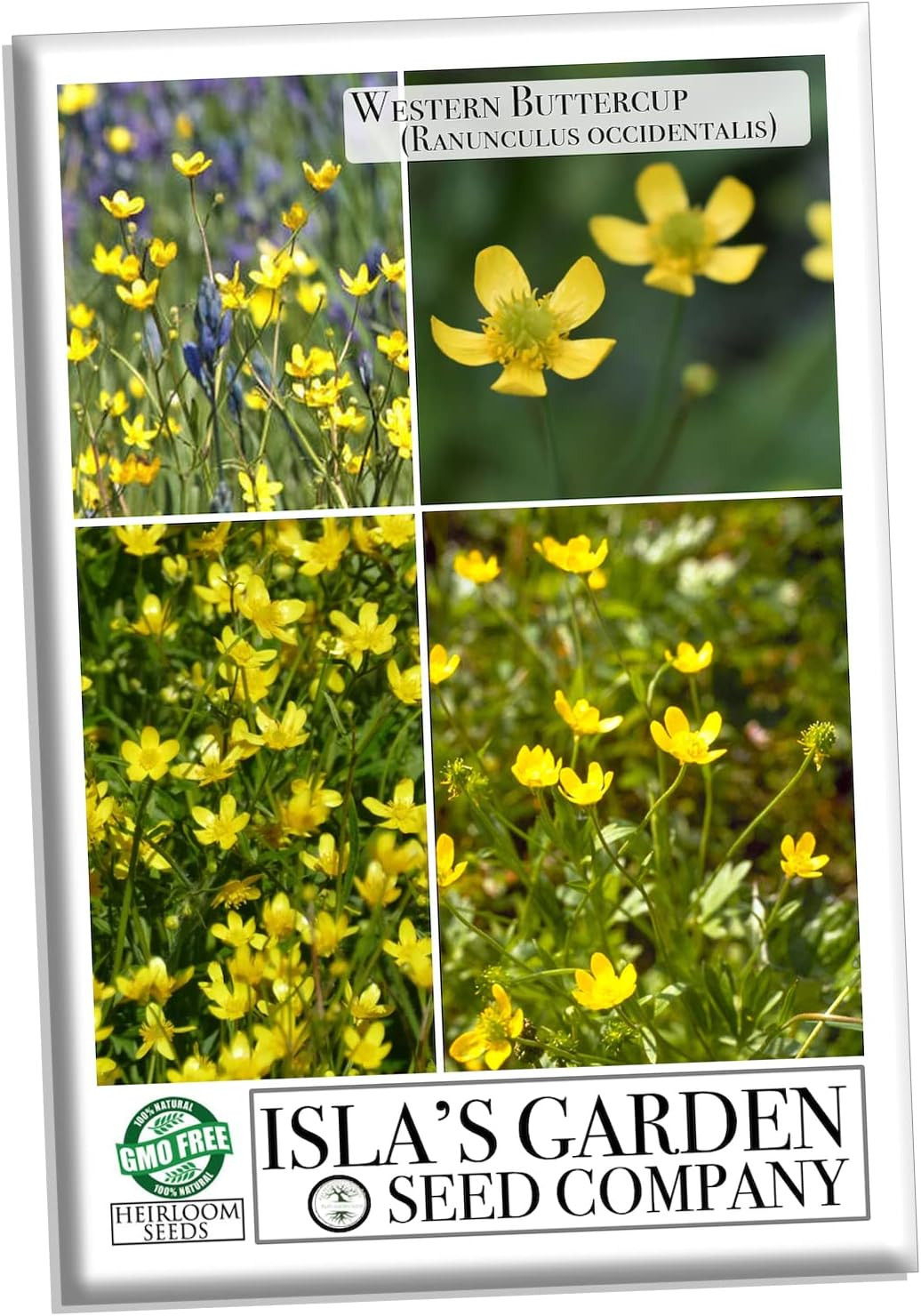 Western Buttercup Seeds – 250+ Non-Gmo & Heirloom Seeds by Isla’S Garden Seeds