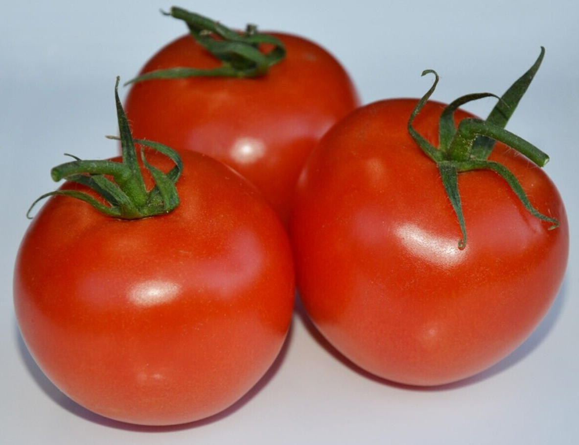 Marglobe Tomato Seeds, Heirloom, NON-GMO, Perfect Tomato, Salads, Variety Sizes