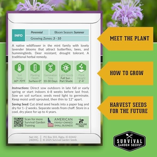 Bee Balm Seeds for Planting – Wild Bergamot (Monarda Fistulosa) Perennial 5