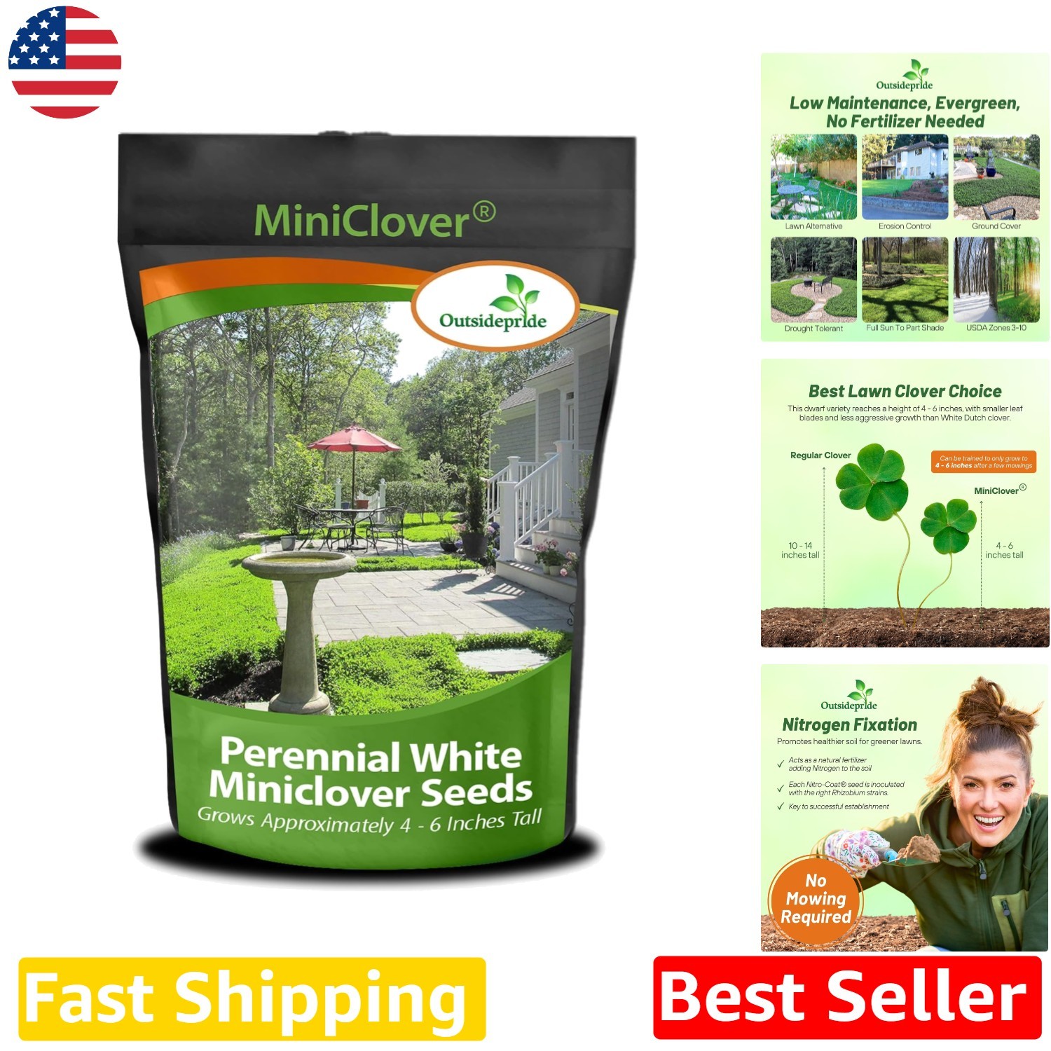 Perennial White Micro Clover Seeds – 2 Lb, Small Leaf, Low Mow, Summer Blooms