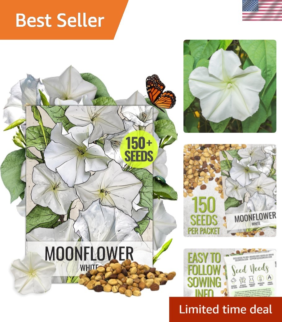 Moonflower Seeds for Planting Prolific Summer White Blooms | 1 Ounce Ipomoea …