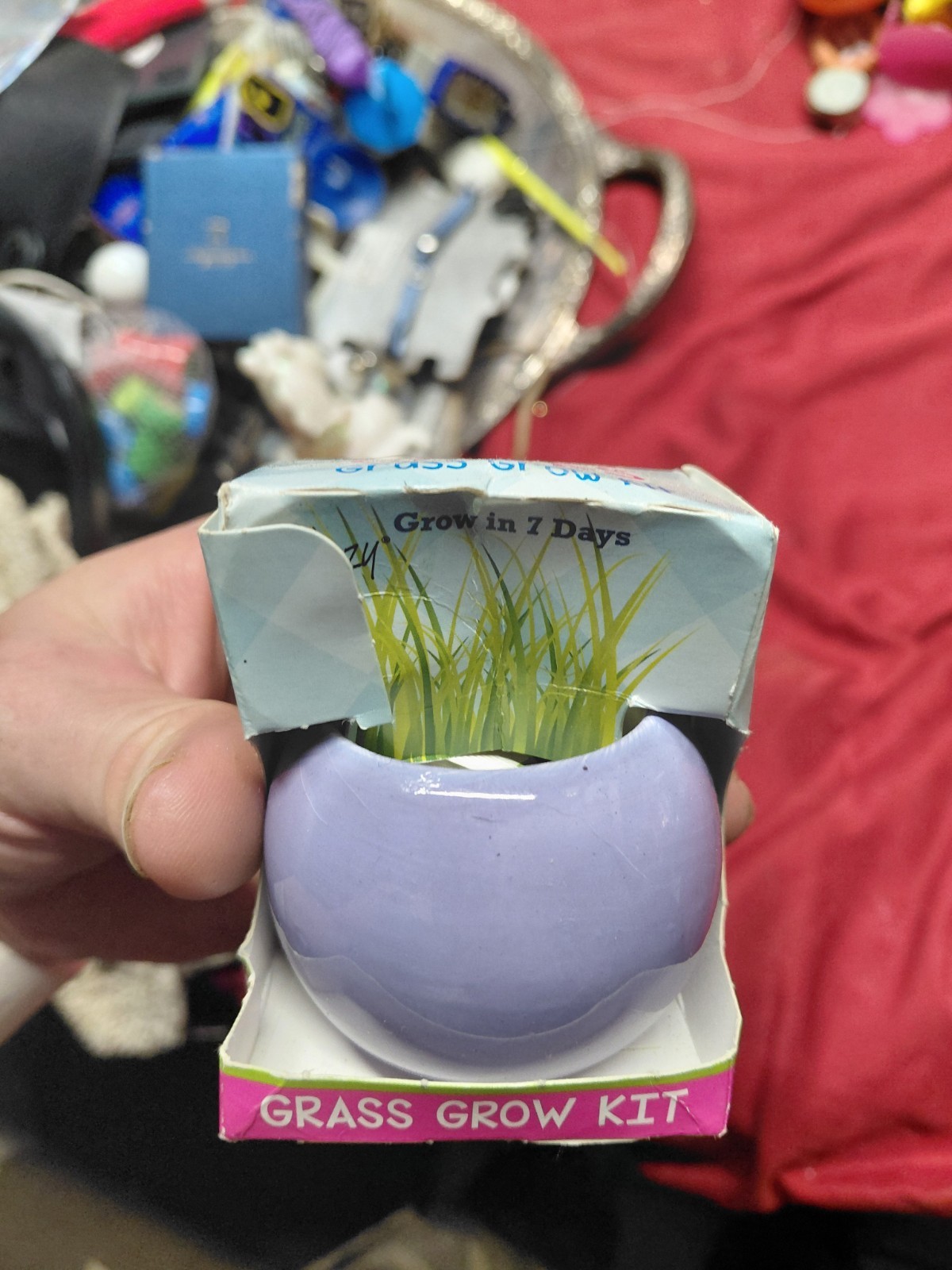 Buzzy Spring Chicks Grass Grow Kit, a tabletop gardening set