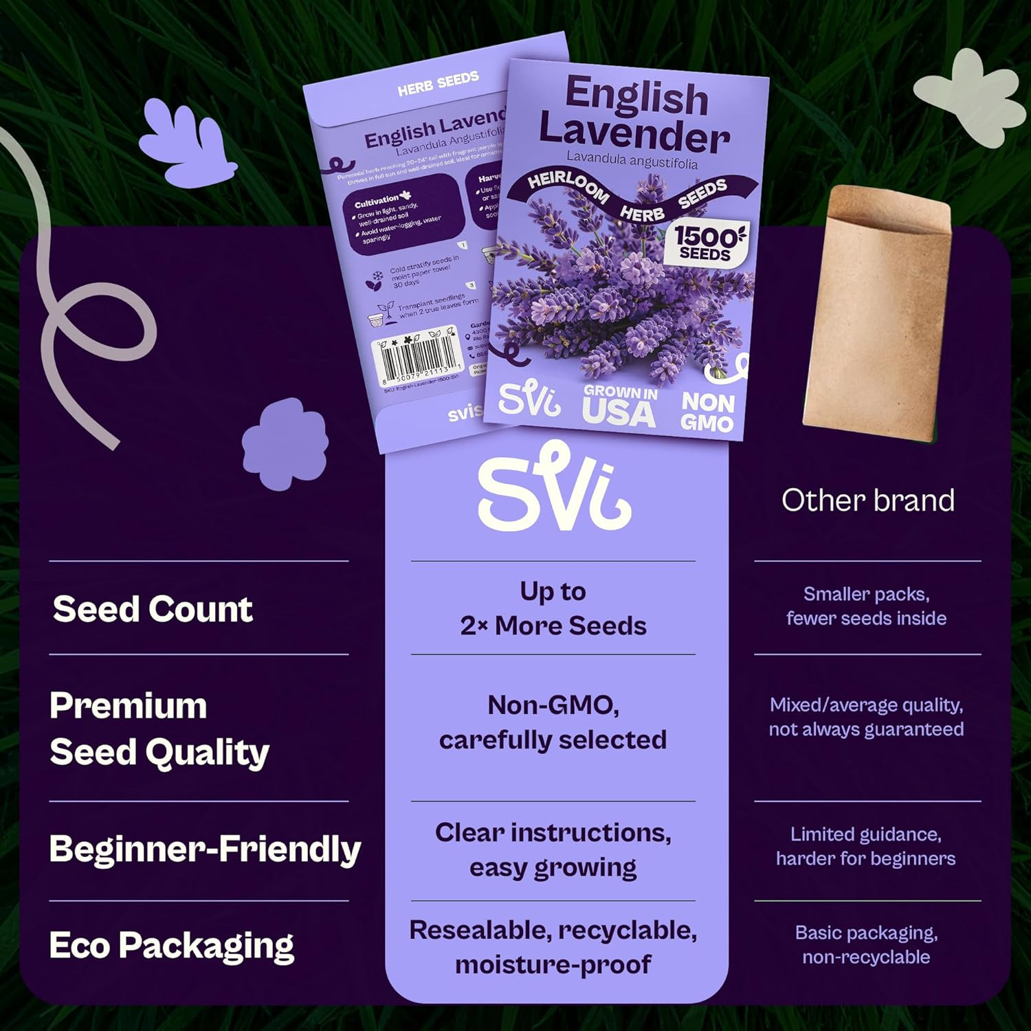 1500 English Lavender Seeds for Planting (Lavandula Angustifolia) – Fragrant Per
