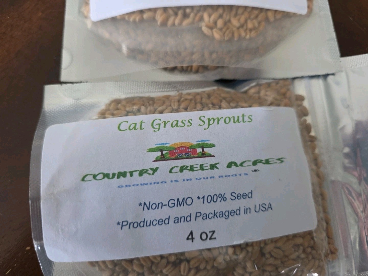 16 oz Wheatgrass For Cats