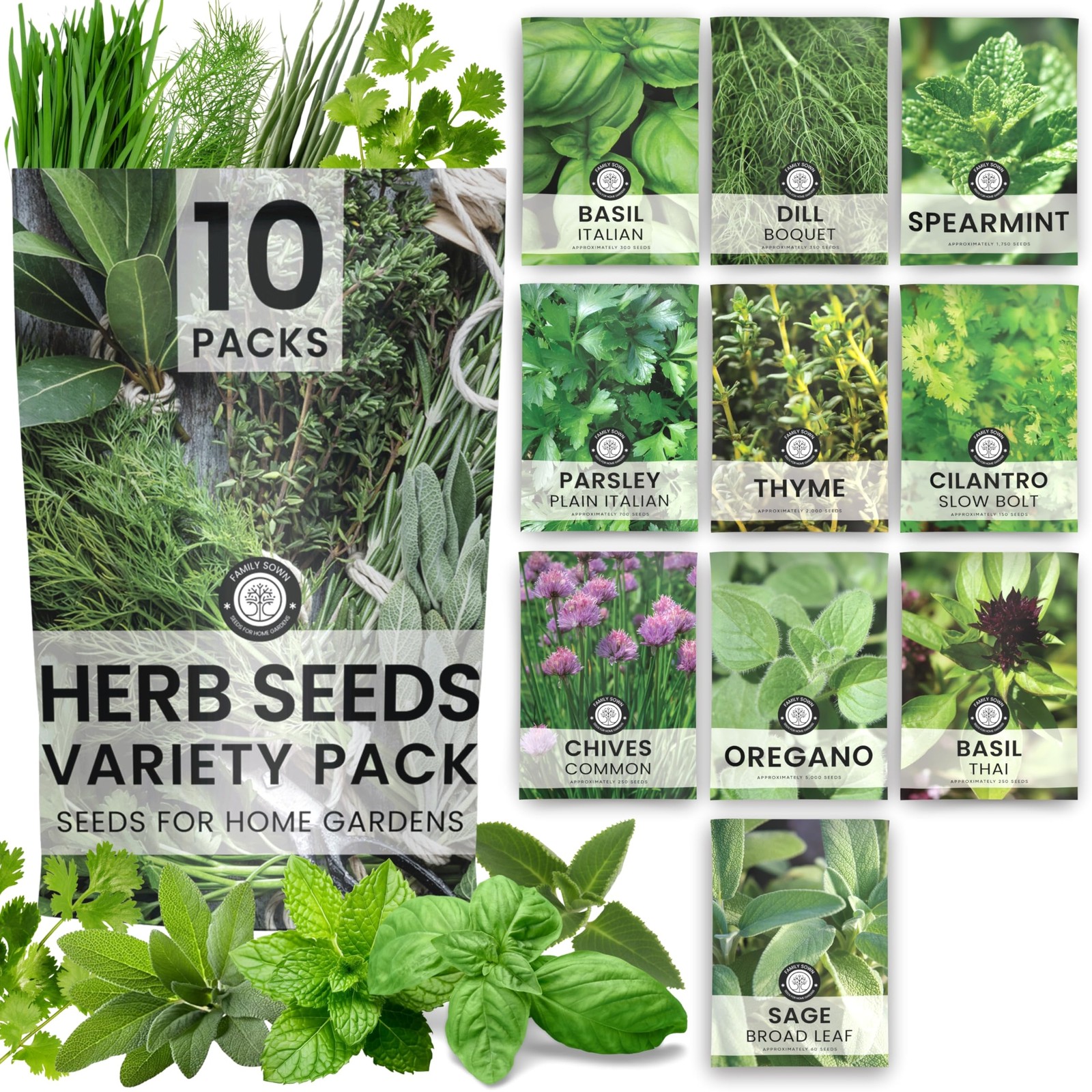 Herb Seeds 10 NonGMO Packs for Indoor & Outdoor Planting Mint, Basil, Thyme