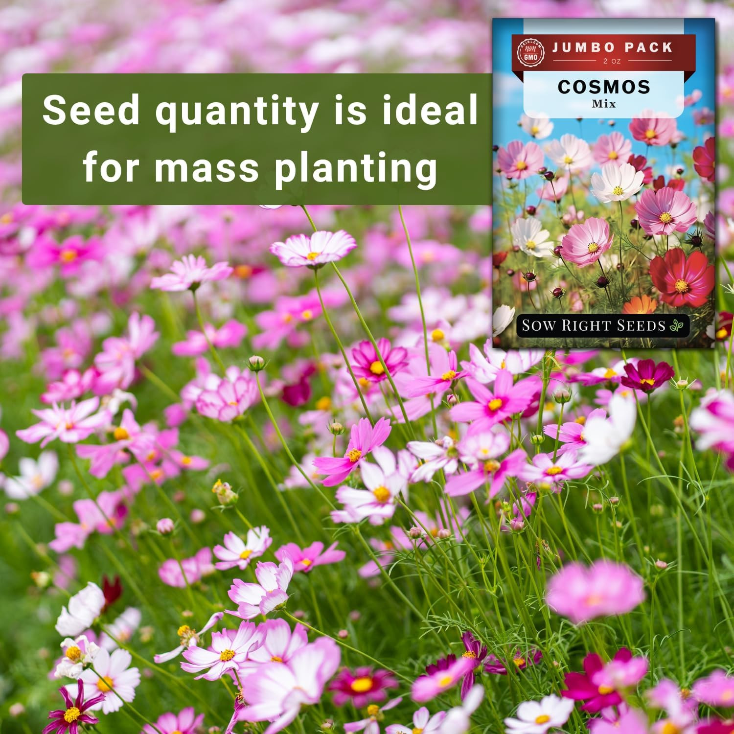 – Bulk Mixed Cosmos Seeds for Planting – 2 Ounce, 8500 Seeds – Non-Gmo Heirloom