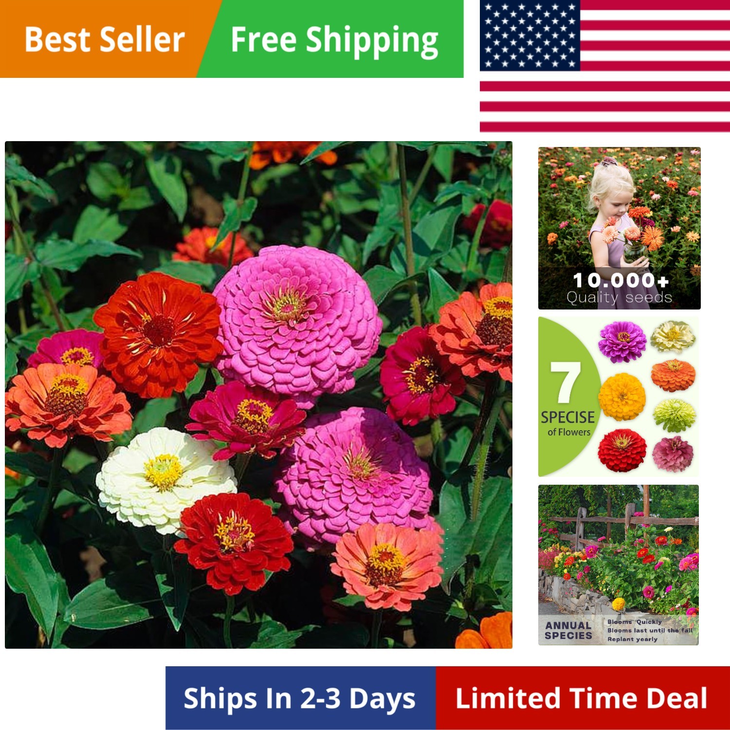Zinnia Seeds Bulk 10,000+ | Outdoor Flower for Planting | Zinnia Seeds for 20…