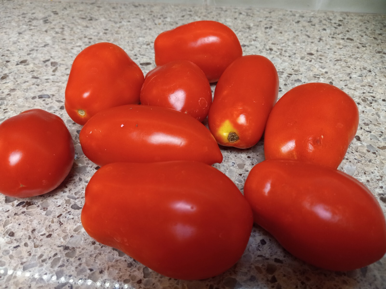 Roma Tomato Seeds 20+ Vegetable Plum Tomato **Free Shipping**