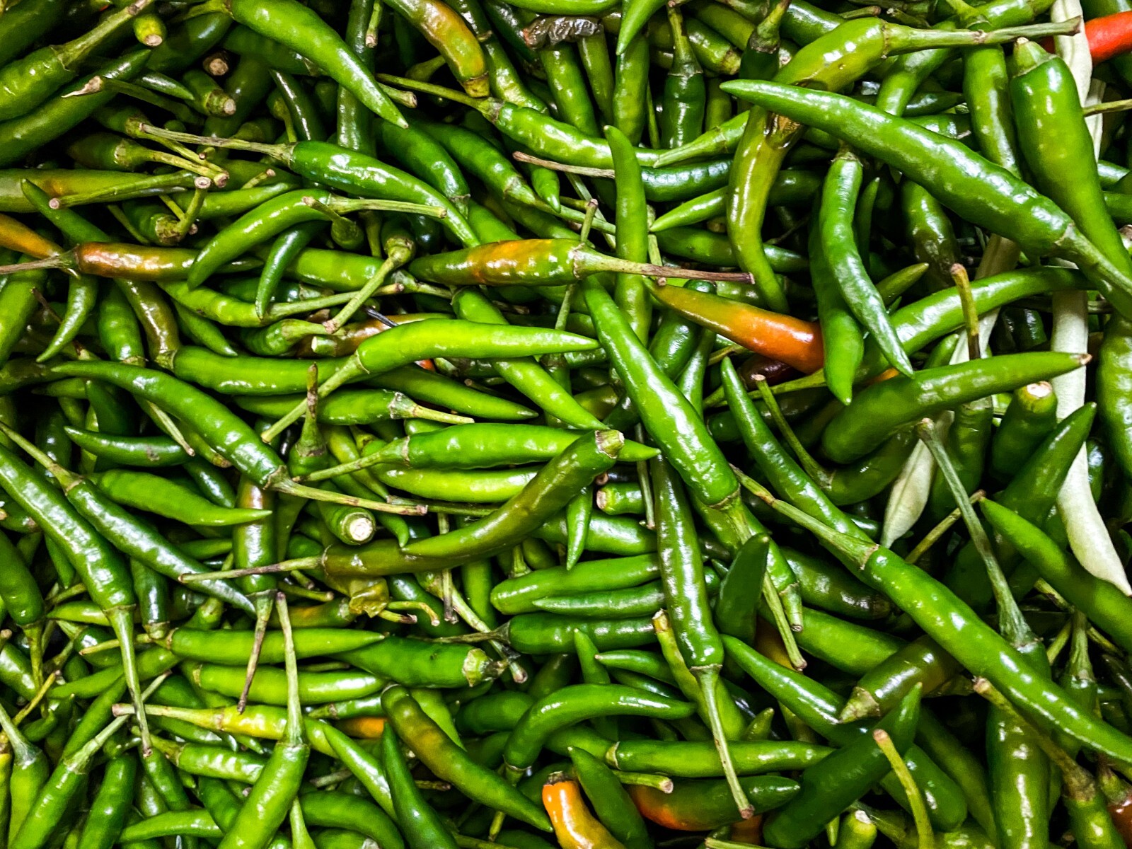 Fresh Green Thai Chili by RawJoy Farms 3 lbs