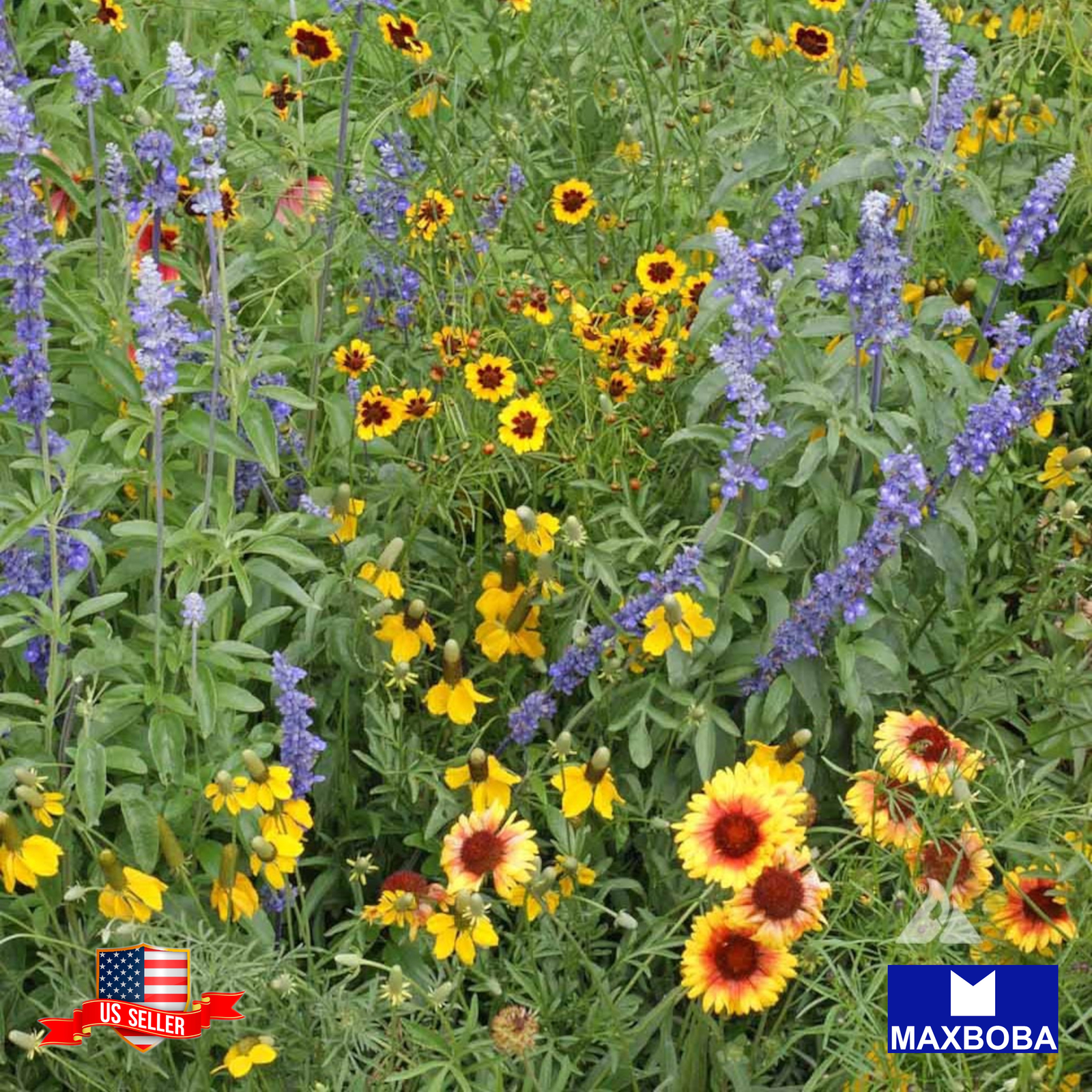 500 Dry Land Mix Wildflower Seeds Non-GMO BTGO 75% OFF