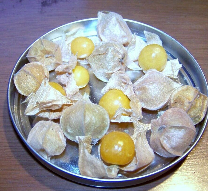 tomatillo PINEAPPLE TOMATILLO 63 SEEDS! GroCo – FREE SHIPPING w 15 ITEM PURCHASE