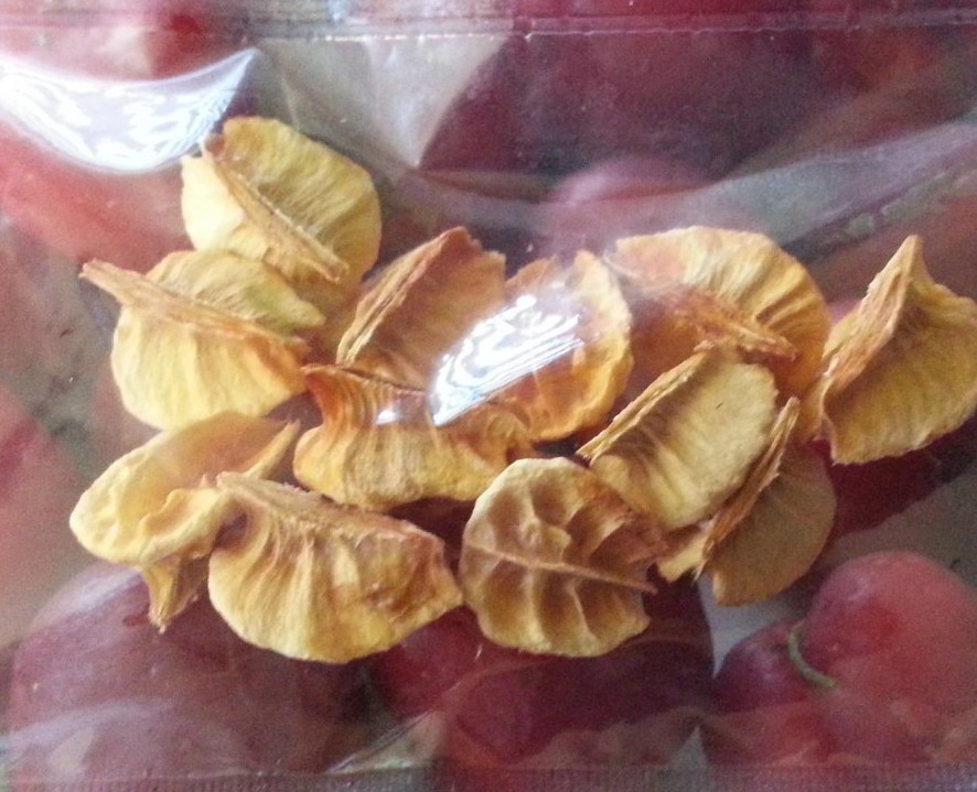 6 Puerto Rican Acerola | Malpighia Emarginata Seeds