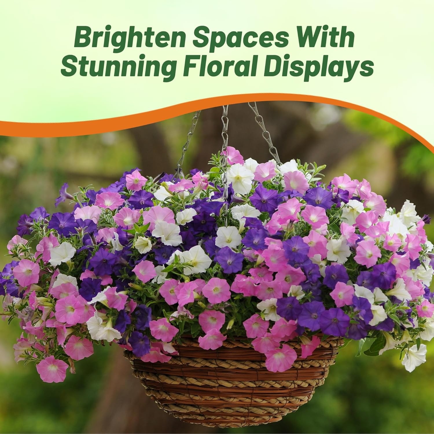 15 Seeds Spreading Petunia Flower Seeds – Shock Wave Spark Mix