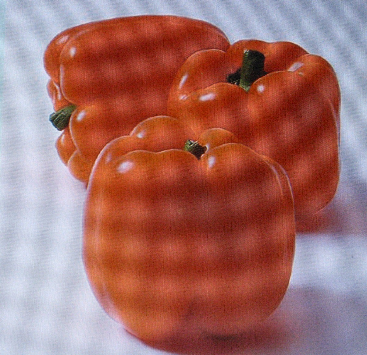 SWEET HORIZON PEPPER * ORANGE * 25 SEEDS * COLORFUL *