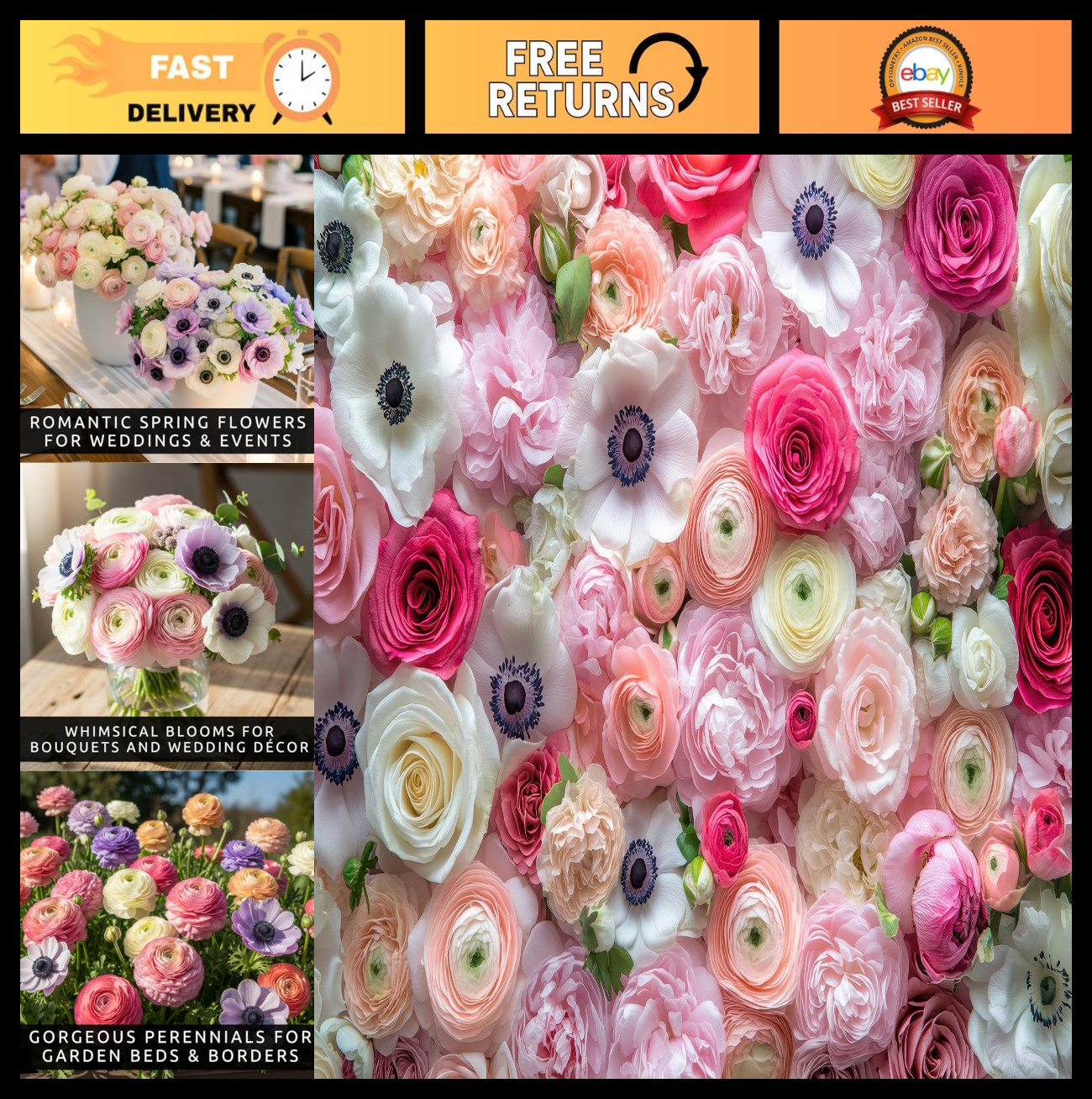 50 Premium Pastel Ranunculus & Anemone Bulbs Mix | Easy Grow Perennials for Gard