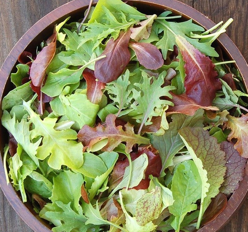 1oz GOURMET MESCLUN MIX Seeds Organic Lettuce Greens Blend Garden Container Easy